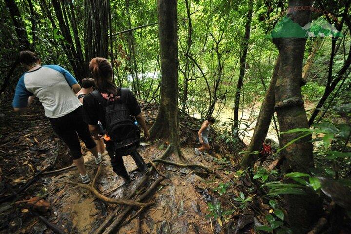 Randonnée au parc national de Khao Sok et excursion en radeau de bambou au départ de Khao Lak