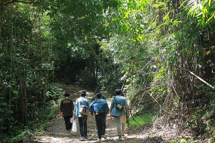 カオソック国立公園ハイキングとカオラックからの竹筏
