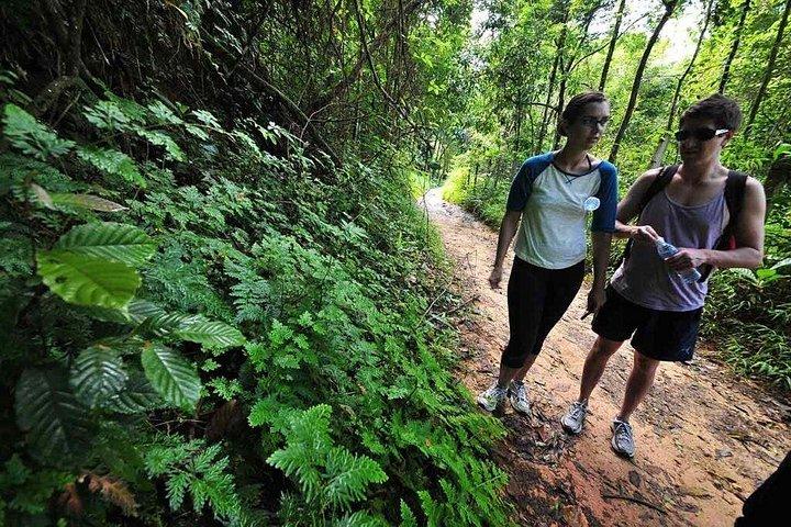 カオソック国立公園ハイキングとカオラックからの竹筏
