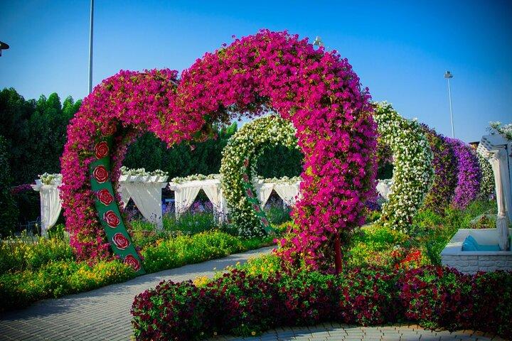 Miracle Garden Dubai Tour com embarque e desembarque em Abu Dhabi