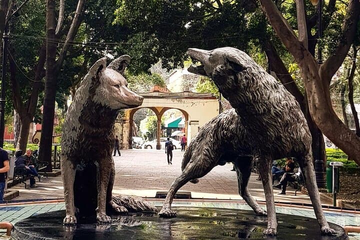 Xochimilco Tour: Visit Coyoacan and Casa Roja in Mexico City