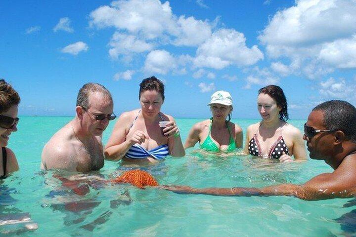 プンタ カナからのサオナ島 1 日エクスカーション + カタマラン パーティー