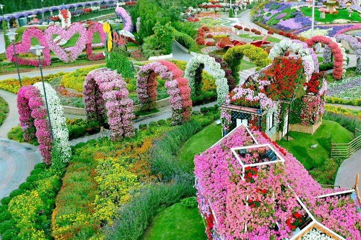 Dubai Miracle Garden-billet med overførsel