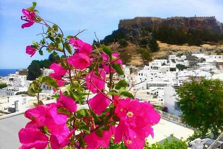 ロドス島とリンドス島終日観光