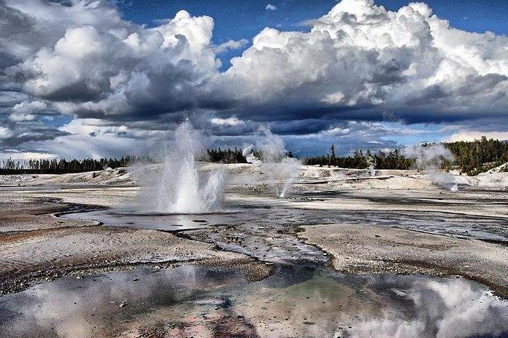 Excursão privada de dia inteiro VIP Yellowstone Lower Loop com almoço