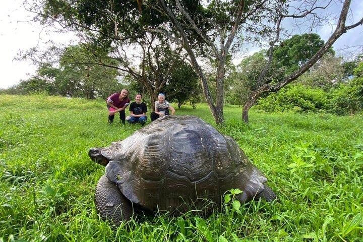 4 - Tour di un giorno dell'isola delle Galapagos