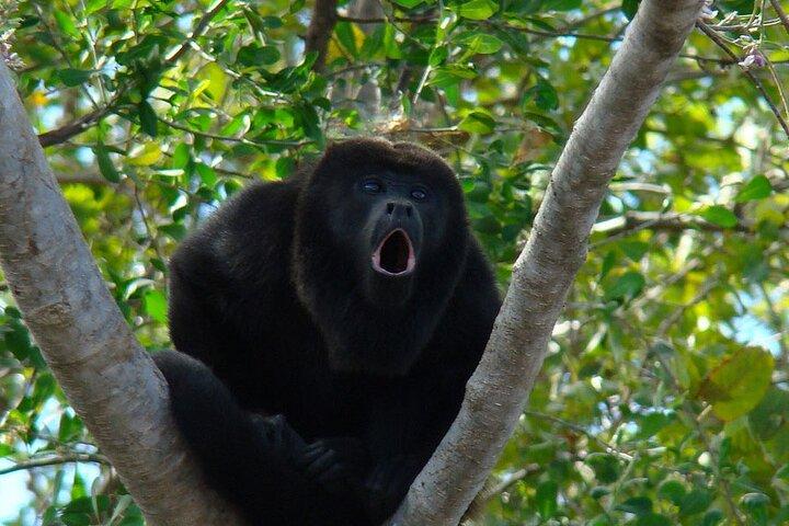 Tour Privado de Guayaquil à Reserva Ecológica Churute