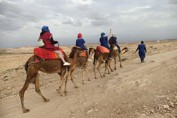 Giro del cammello al tramonto nel deserto di Agafay a Marrakech