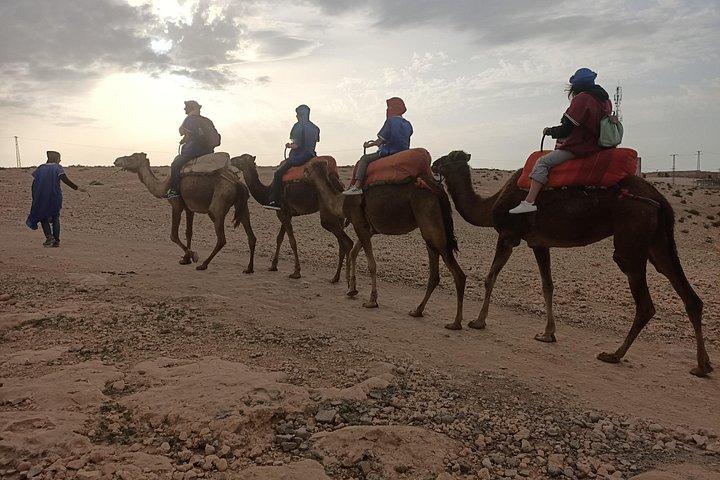 Giro del cammello al tramonto nel deserto di Agafay a Marrakech