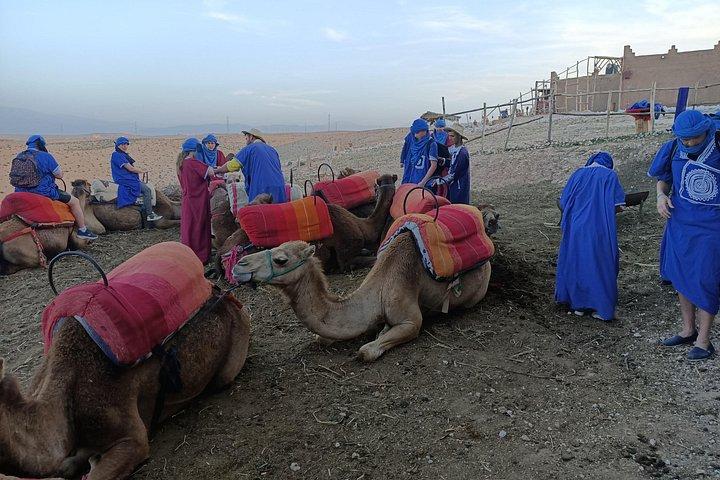 Giro del cammello al tramonto nel deserto di Agafay a Marrakech