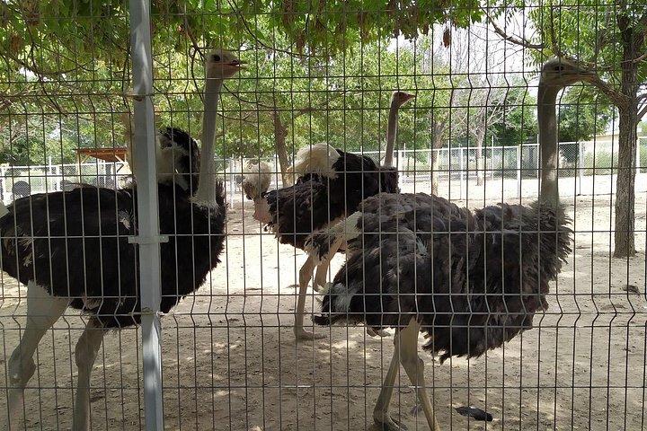 ツルゲン渓谷のイシク湖とクマの滝 + ゴールデンマン博物館の日帰りツアー