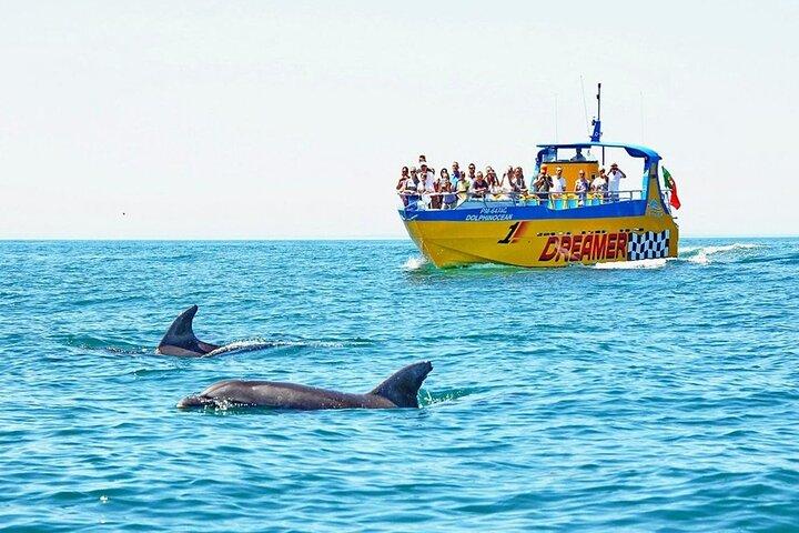 Ticket für die Dreamer Cave- und Delfin-Bootstour in Albufeira