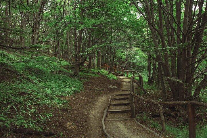 Tour no Parque Nacional Tierra del Fuego com Trekking