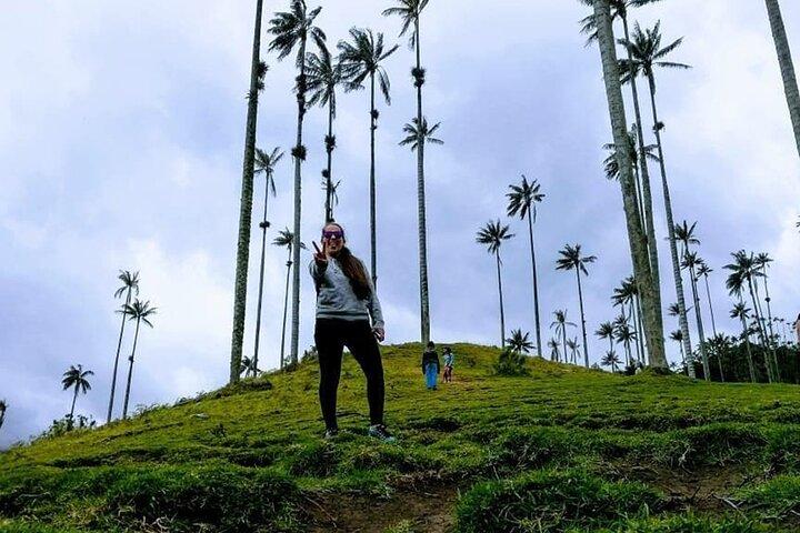 Randonnée dans la vallée de Cocora et le Salento