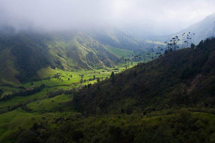 Randonnée dans la vallée de Cocora et le Salento