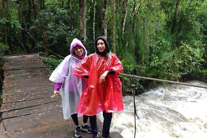 Randonnée dans la vallée de Cocora et le Salento