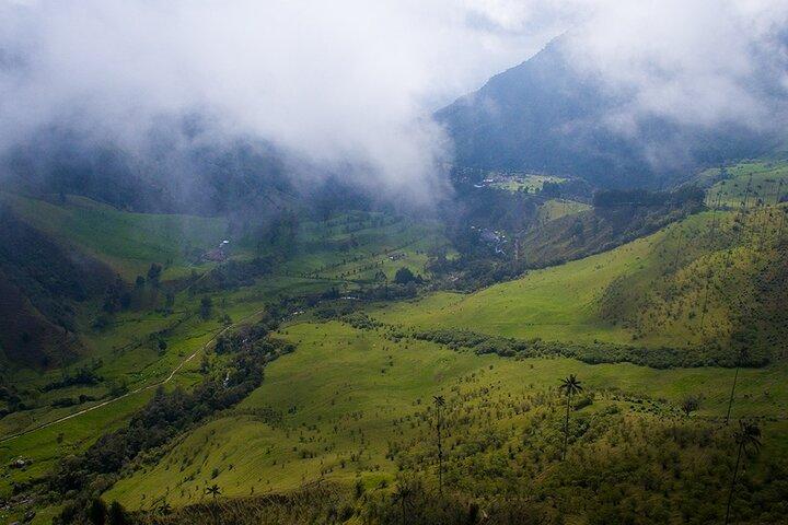 Randonnée dans la vallée de Cocora et le Salento