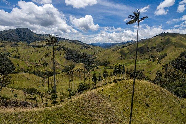 Randonnée dans la vallée de Cocora et le Salento