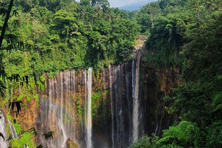 3Tage - Tumpaksewu Bromo Ijen Abenteuer über Malang oder Surabaya