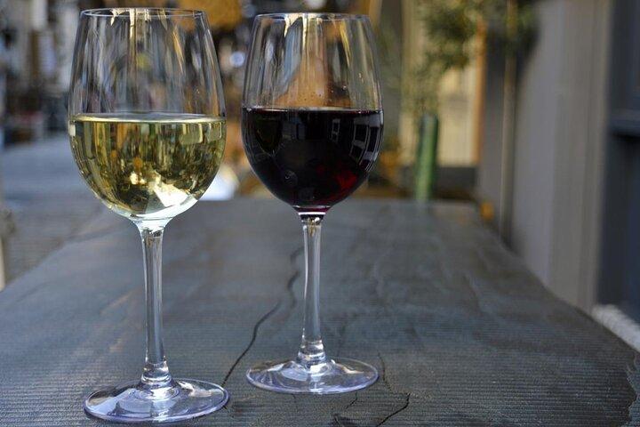 Visita a un Museo del Vino y Cata de Vinos en Santorini