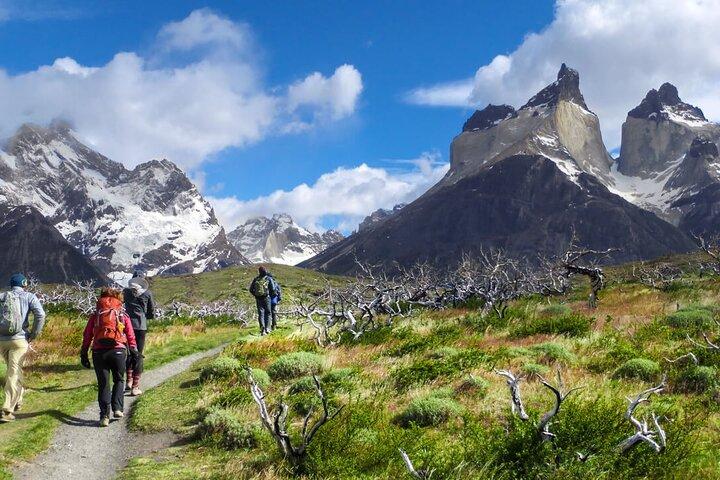 4-daagse trekkingervaring in Torres del Paine vanuit Puerto Natales