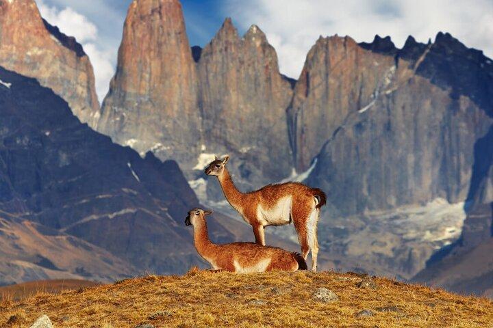 4-daagse trekkingervaring in Torres del Paine vanuit Puerto Natales