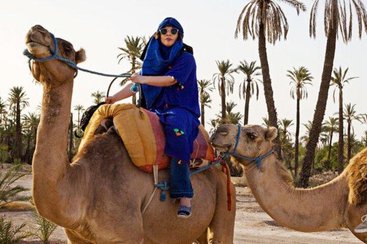 Camel Ride in the Palm Grove of Marrakech with Tea & Hotel Pickup