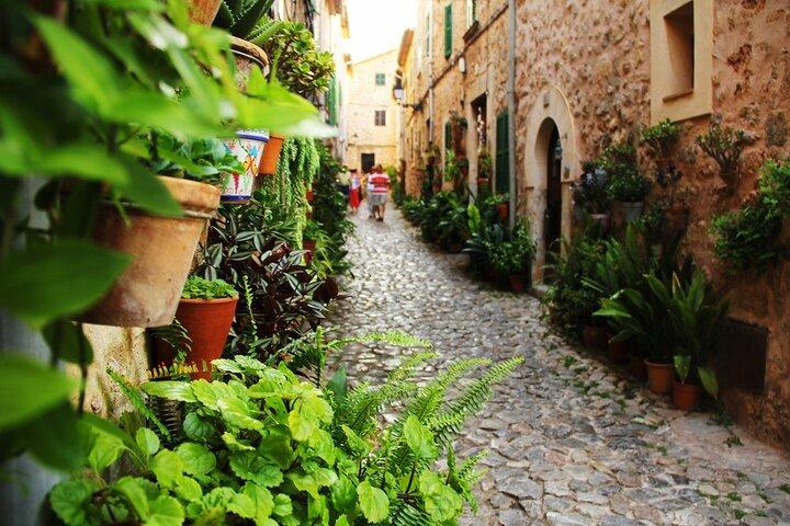 Besök Palma och Valldemossa