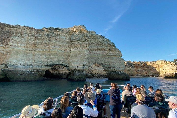 ポルティマン：ベナジル洞窟とイルカ • 海洋生物学者が同行