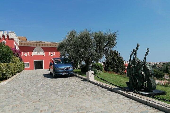 Tour di mezza giornata per piccoli gruppi con degustazione da Nizza