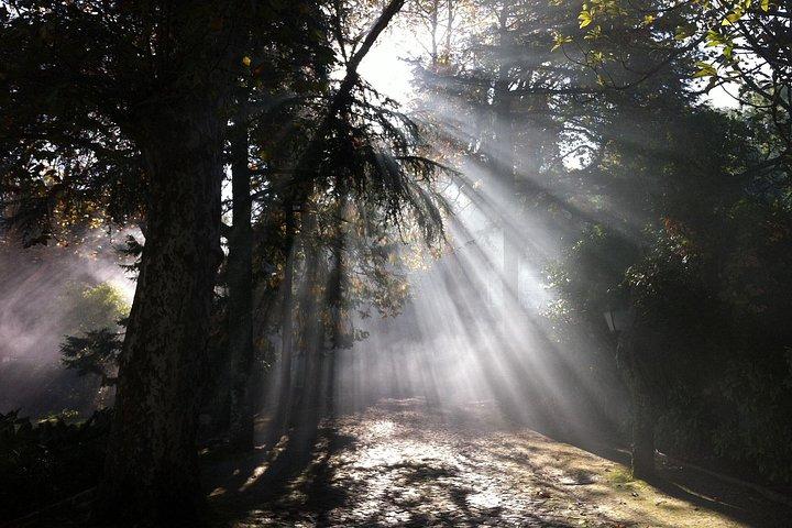 Sintra & Cabo da Roca Private Tour