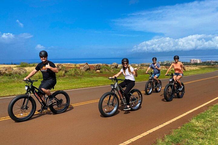 西マウイ電動自転車レンタル