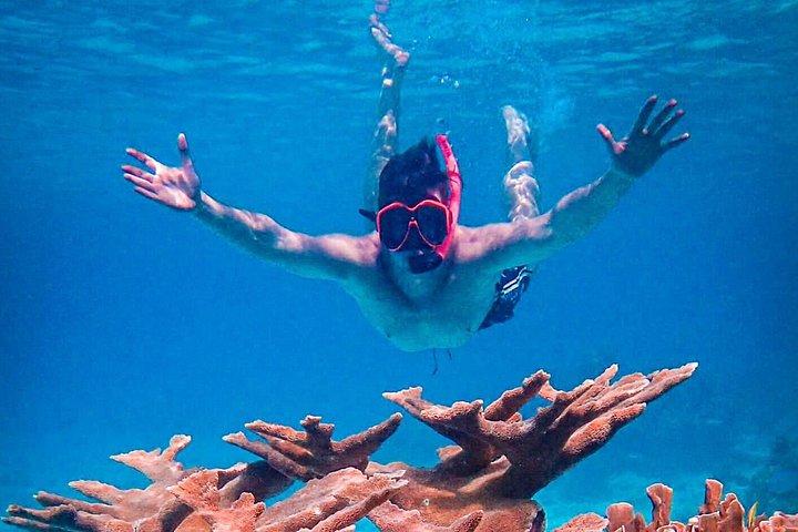 Private Bonaire Snorkeling Experience