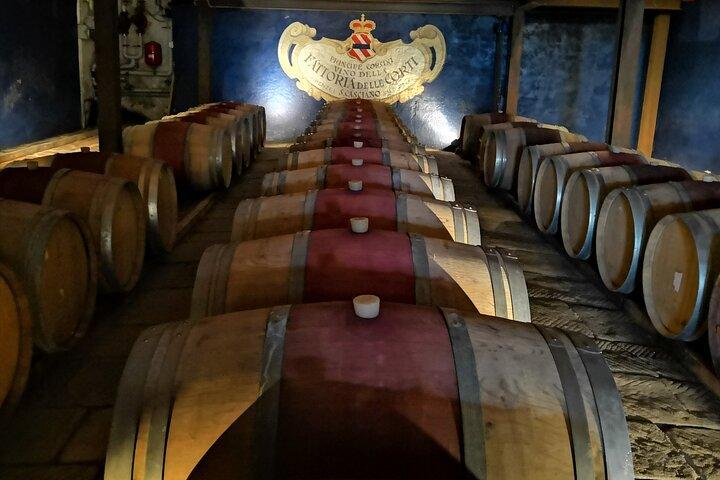 Wine Tours Chianti All inclusive Almoço e degustação de vinhos 1 vinícola