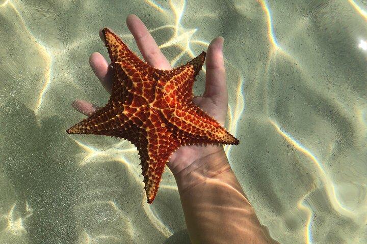グランドケイマン半日プライベートカスタマイズボートチャーター