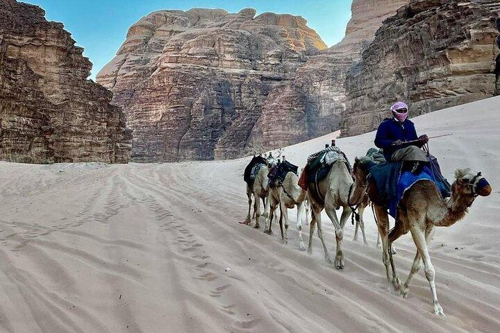 Petra e Wadi Rum de Amman Full Day Tour