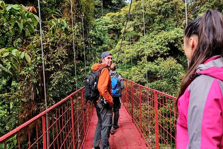 PRIVATE Guided Walk to the Monteverde Cloud Forest Preserve