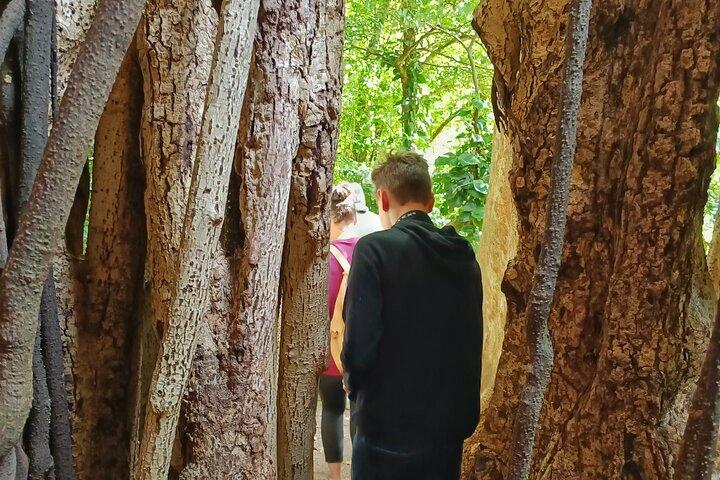 Privat guidet tur til Curi Cancha Reserve