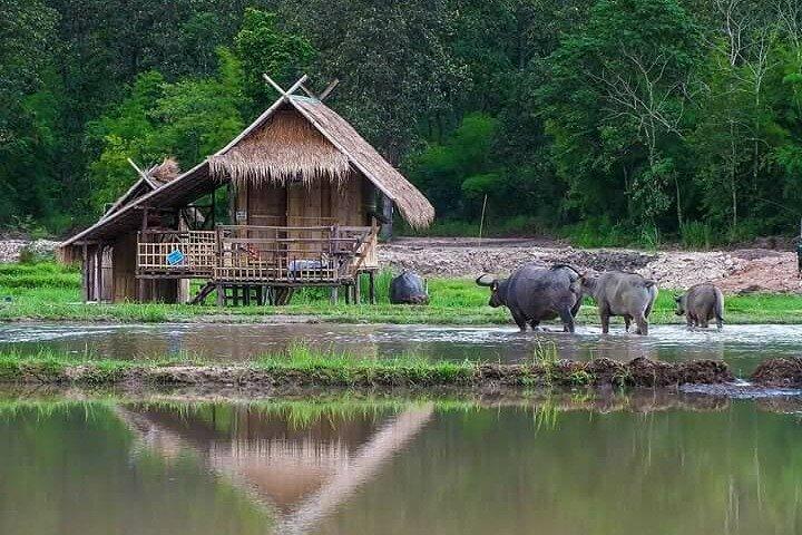 "No.1 Chiang Mai: Fritidscykeltur til Huay Tueng Tao-søen"