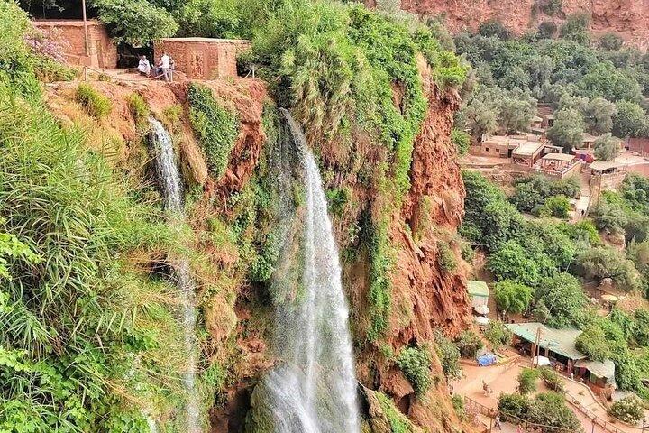 Ouzoud Falls Private Day Trip from Marrakech