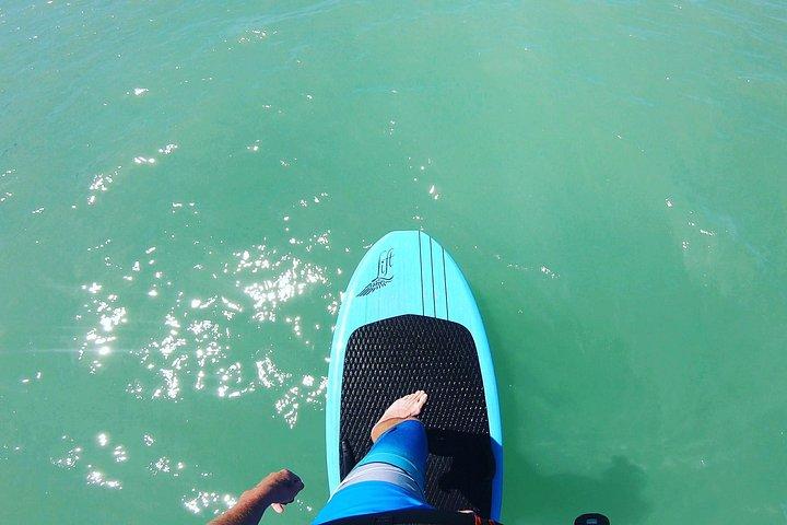 Fly Above Water Efoil Adventure in Sarasota. A Must Do!