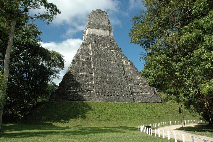 Tikal Maya Temple tour from San Ignacio with sit down lunch