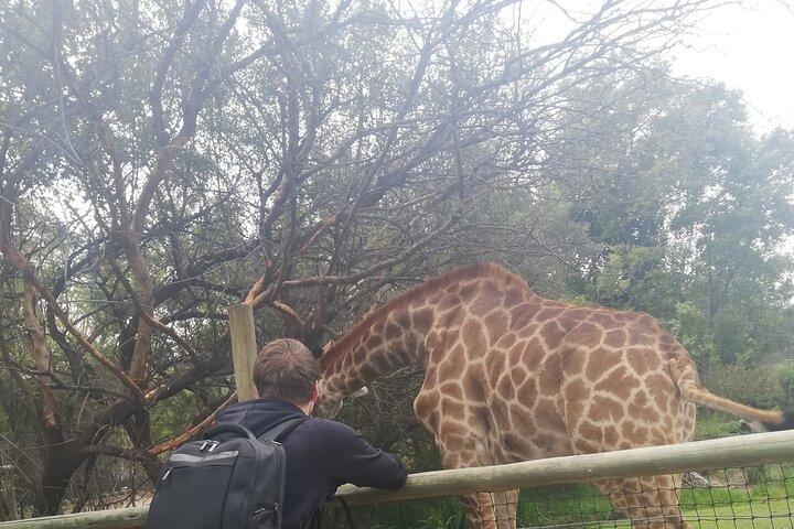 10 dage Cape Town / Kruger Park & Johannesburg magiske tur