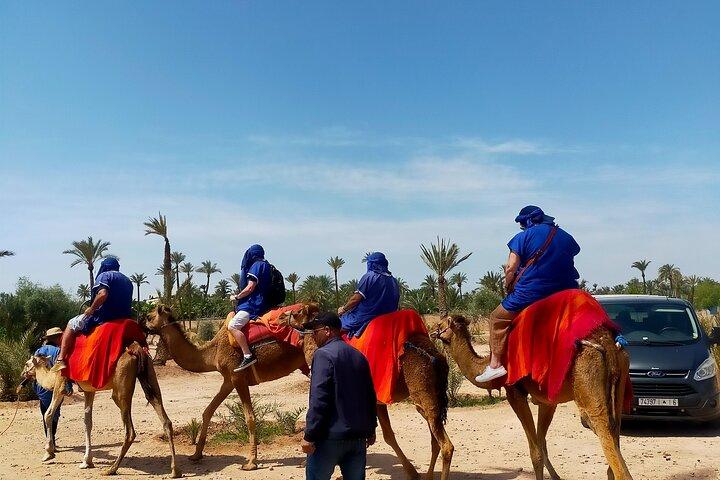 Camel Ride in the Palm Grove of Marrakech with Tea & Hotel Pickup