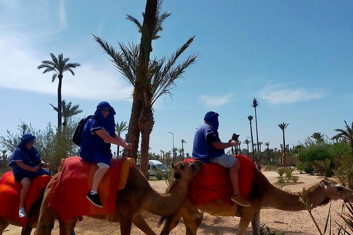 Camel Ride in the Palm Grove of Marrakech with Tea & Hotel Pickup