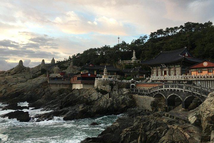 Busan highlight small group tour including Gamcheon and Yonggugsa temple
