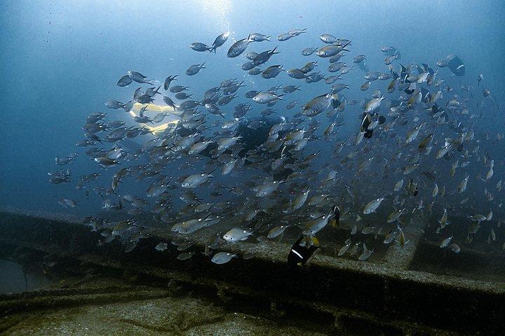 2 Tank Dive Trip from Cabo to La Paz