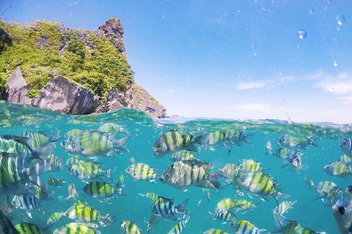 De Phuket: Tour de barco de Phi Phi, Baía Maya e Ilhas Khai