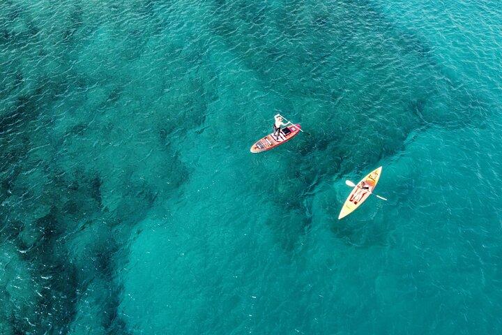 SUP Standup Paddling och Snorkling Gemensam upplevelse