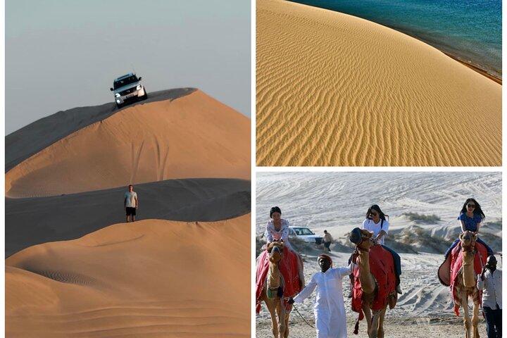 Safari nel deserto, giro in cammello e tour del mare interno